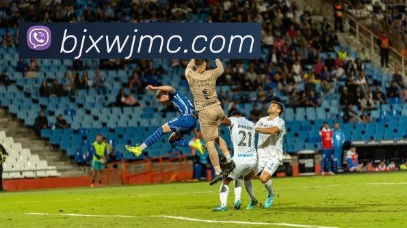 hth华体网站平台生态图