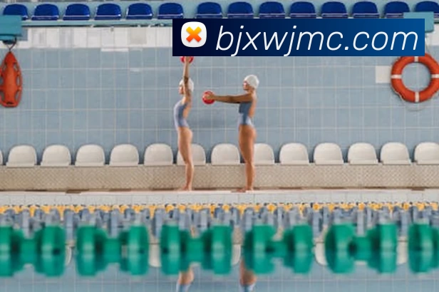 多媒体互动体验